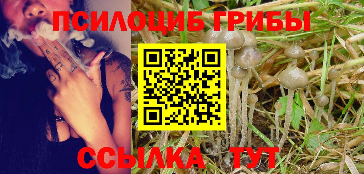 Псилоцибиновые грибы мухоморы Добрянка