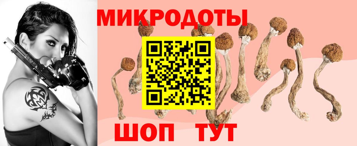 Псилоцибиновые грибы прущие грибы  Вход с VPN  Добрянка  Галлюциногенные грибы мицелий 